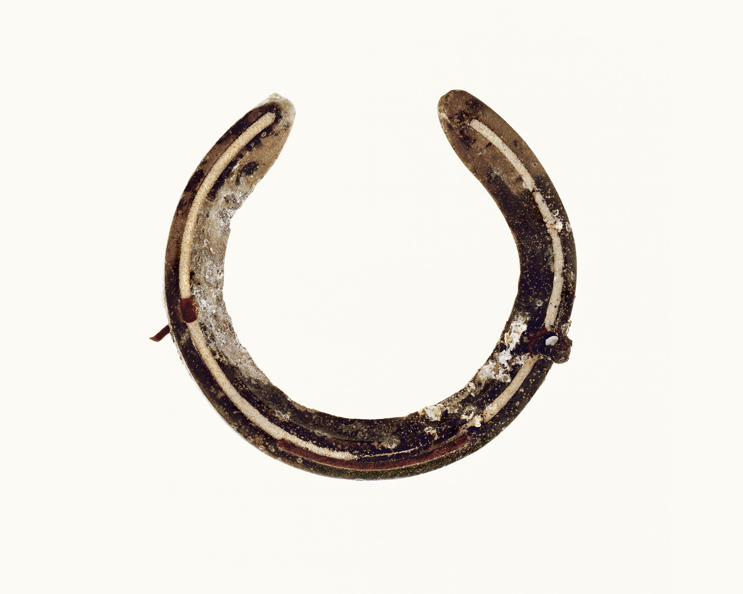 horse-shoe-michael-reid