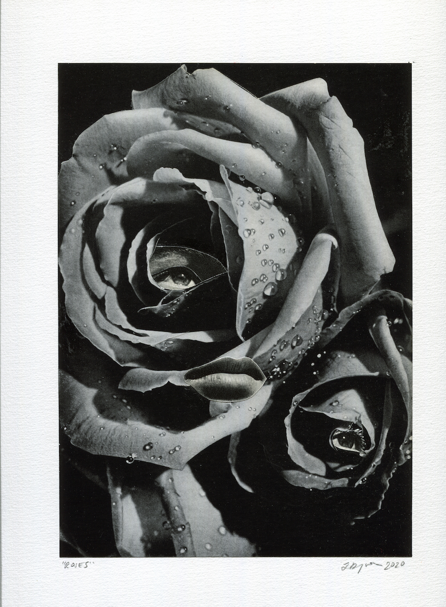 Roses - Michael Reid