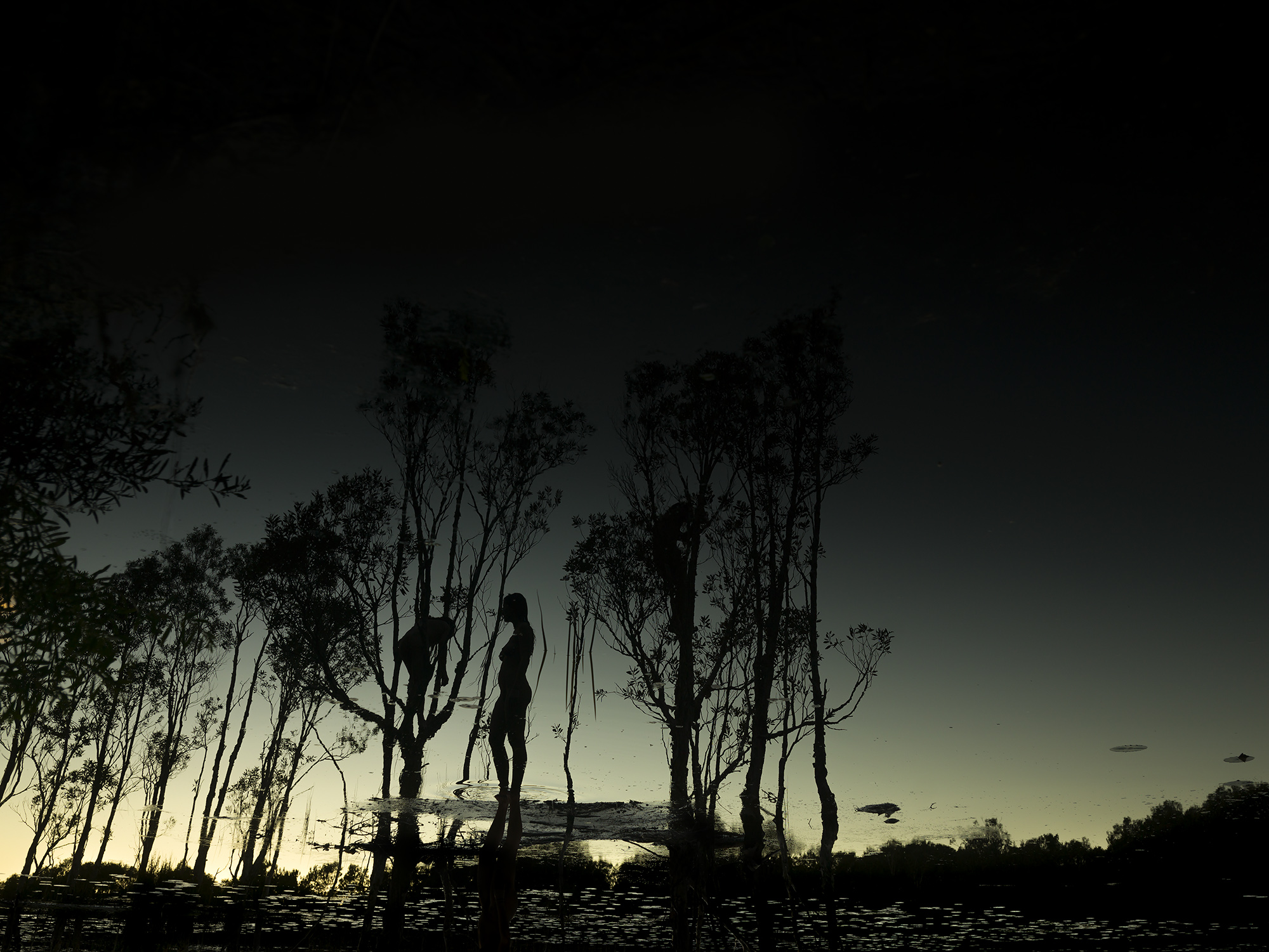 Tea Tree - Michael Reid
