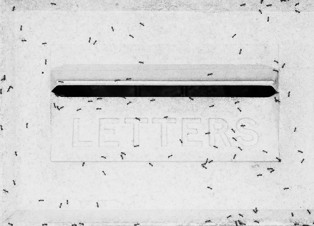 Letters, Adelaide home - Michael Reid