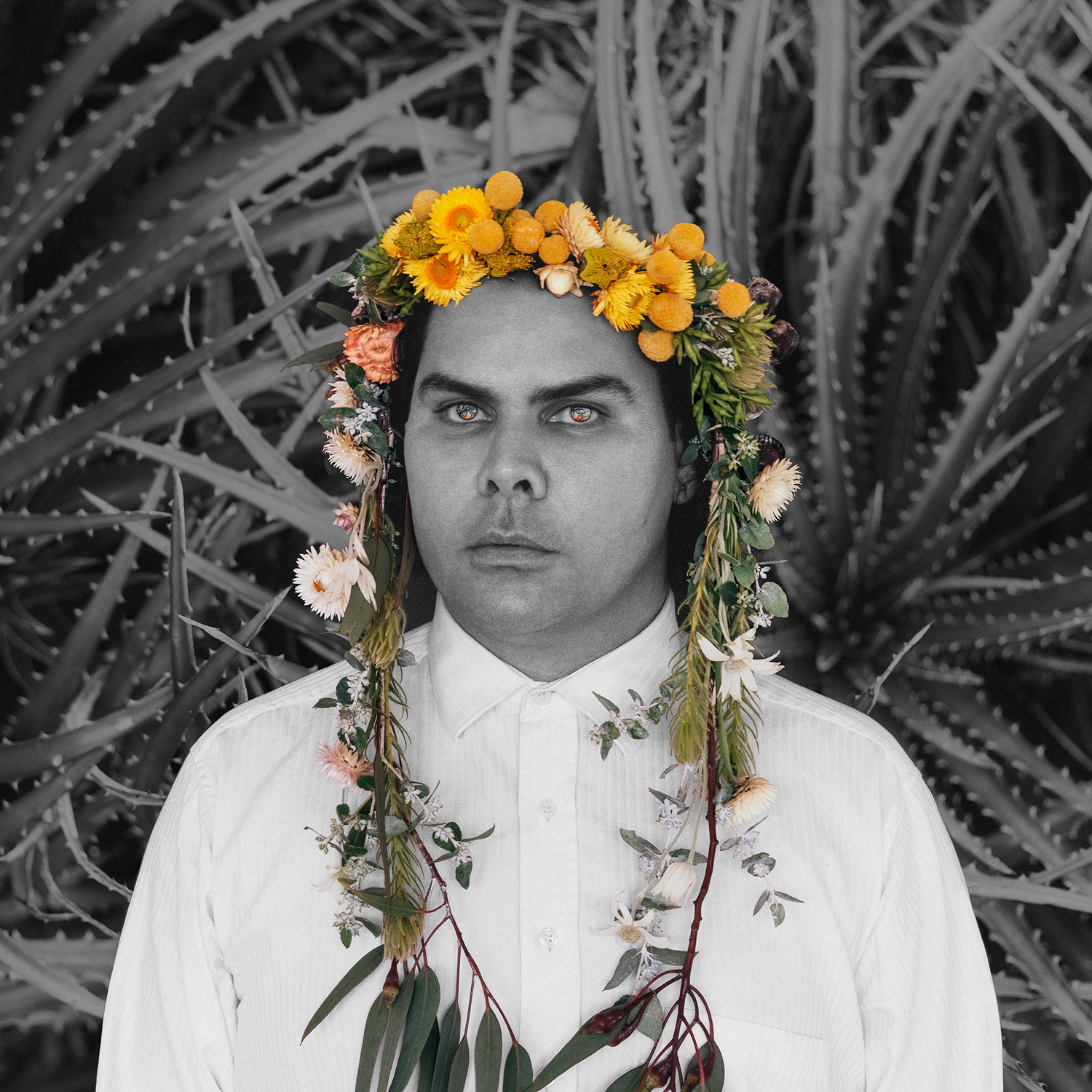 twin-divination-michael-reid