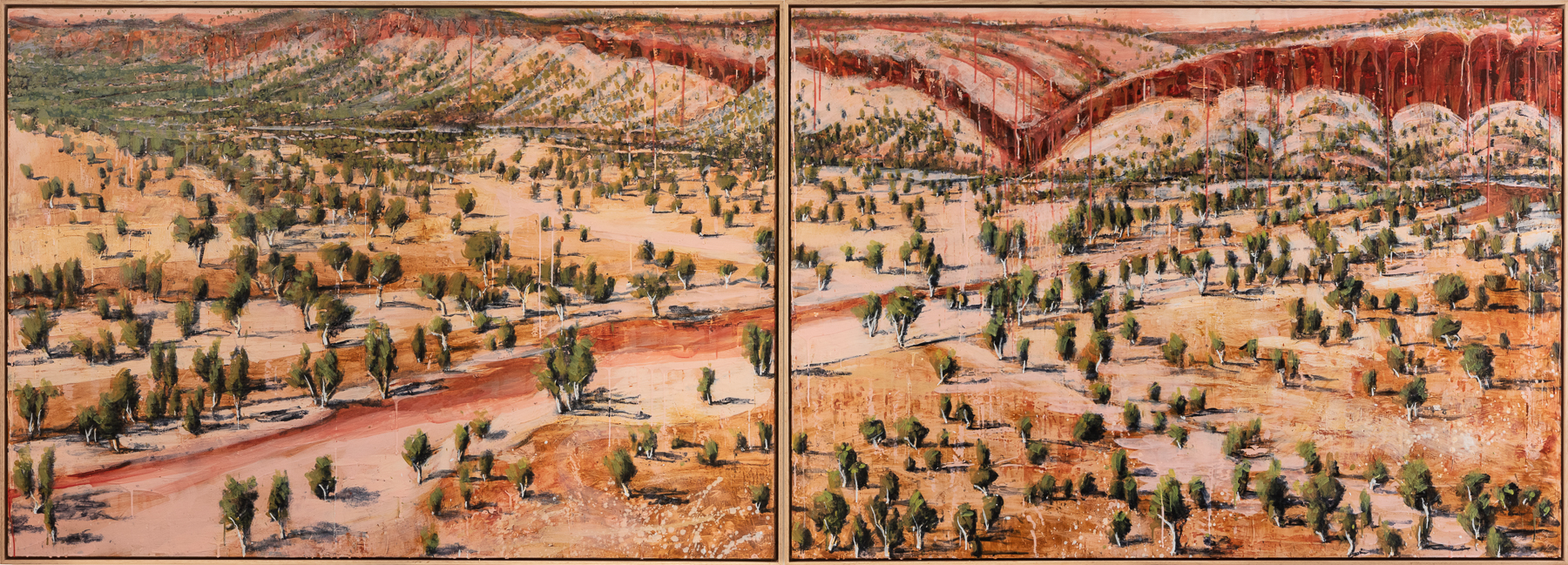 Glen Riddle Artist Looking Back, Glen Helen - Michael Reid