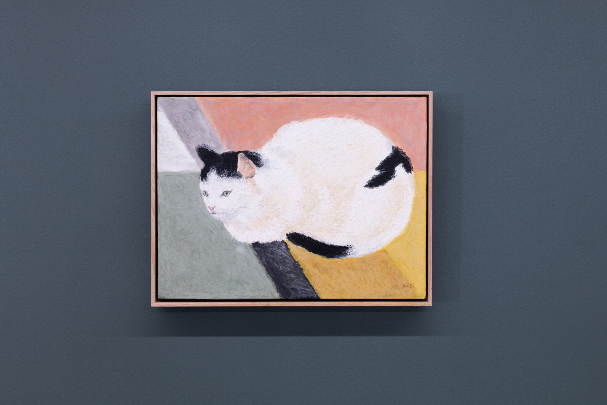 Resting Cat - Michael Reid