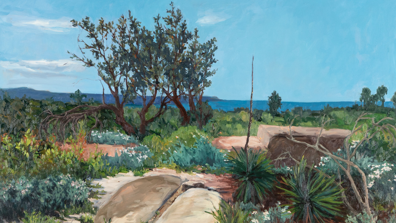 Wildflowers - Michael Reid Murrurundi