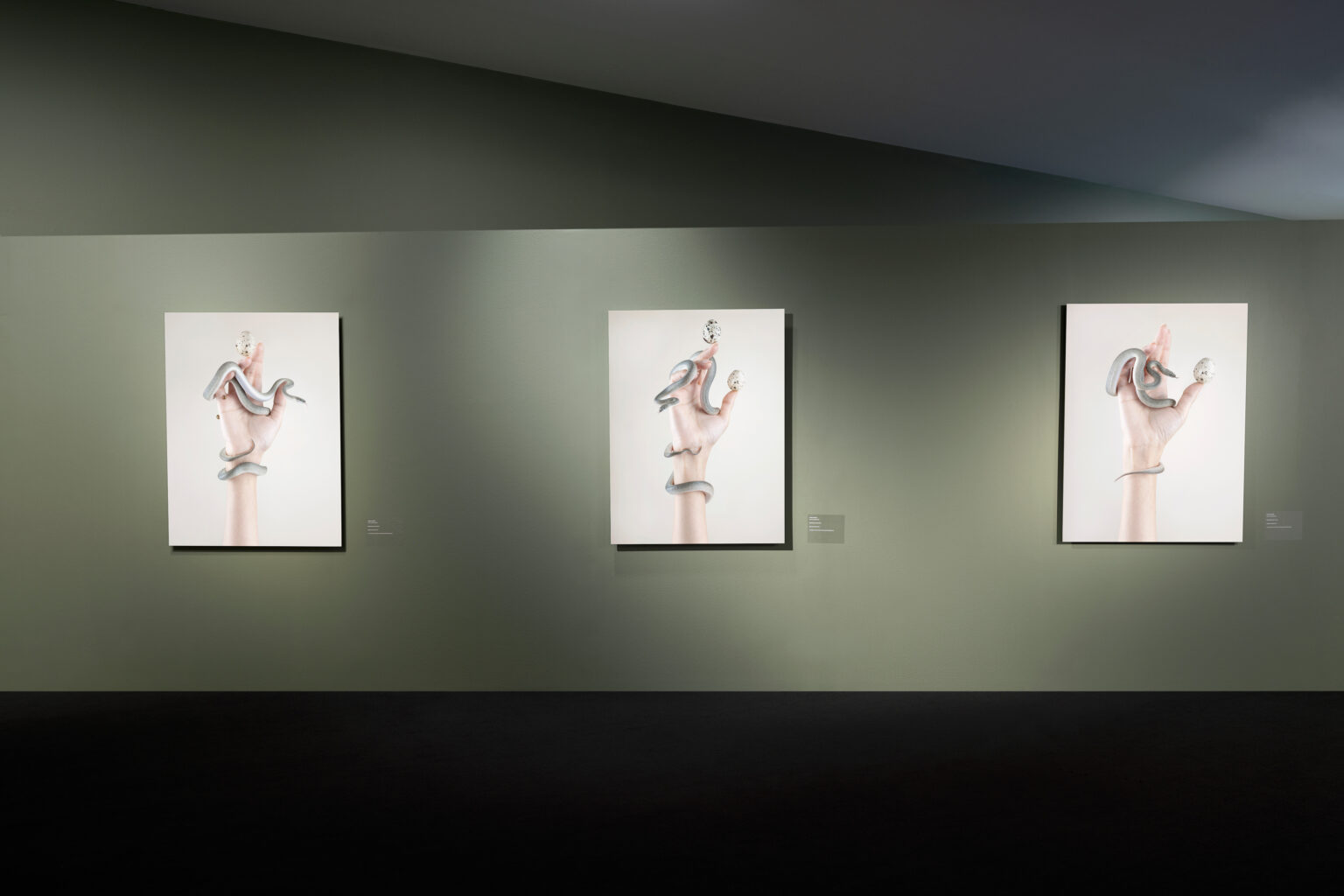 UPDATED_Snakes&Mirrors_Install_7_low_res