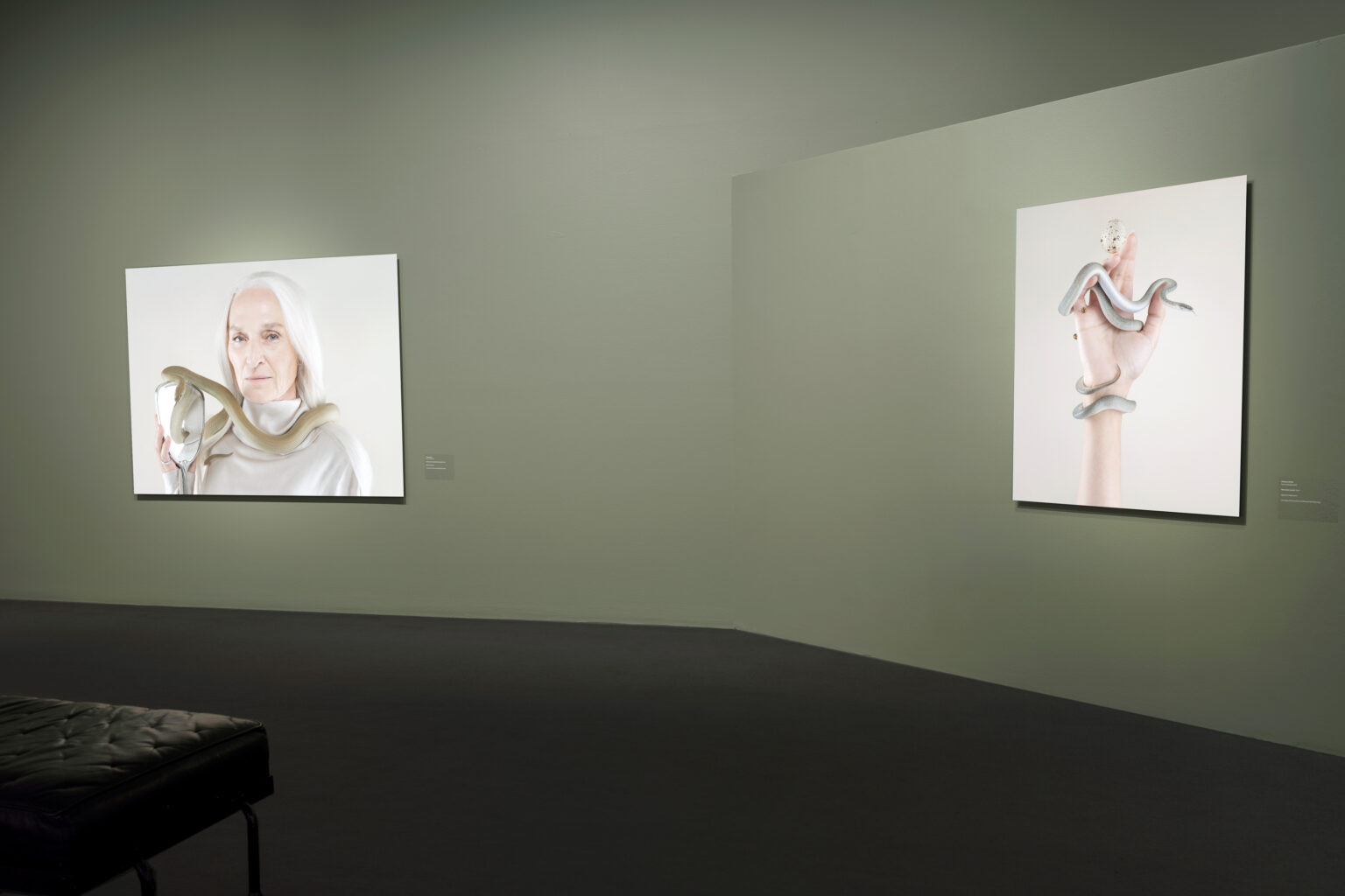 UPDATED_Snakes&Mirrors_Install_6_low_res