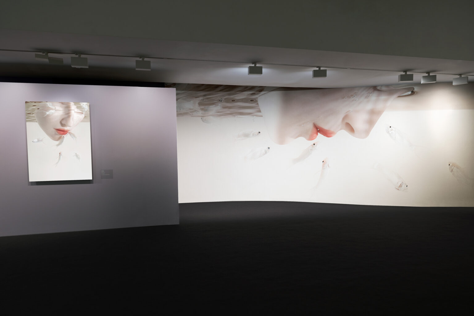 UPDATED_Snakes&Mirrors_Install_12+cropped_low_res
