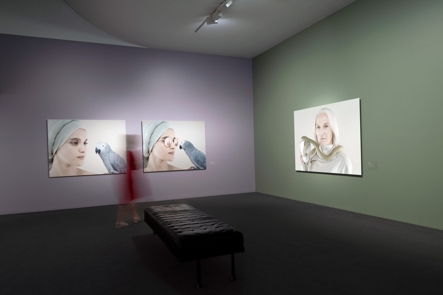 UPDATED_Snakes&Mirrors_Install_11_low_res