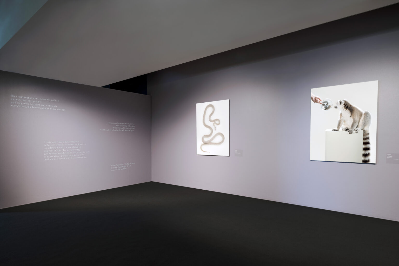 UPDATED_Snakes&Mirrors_Install_9_low_res