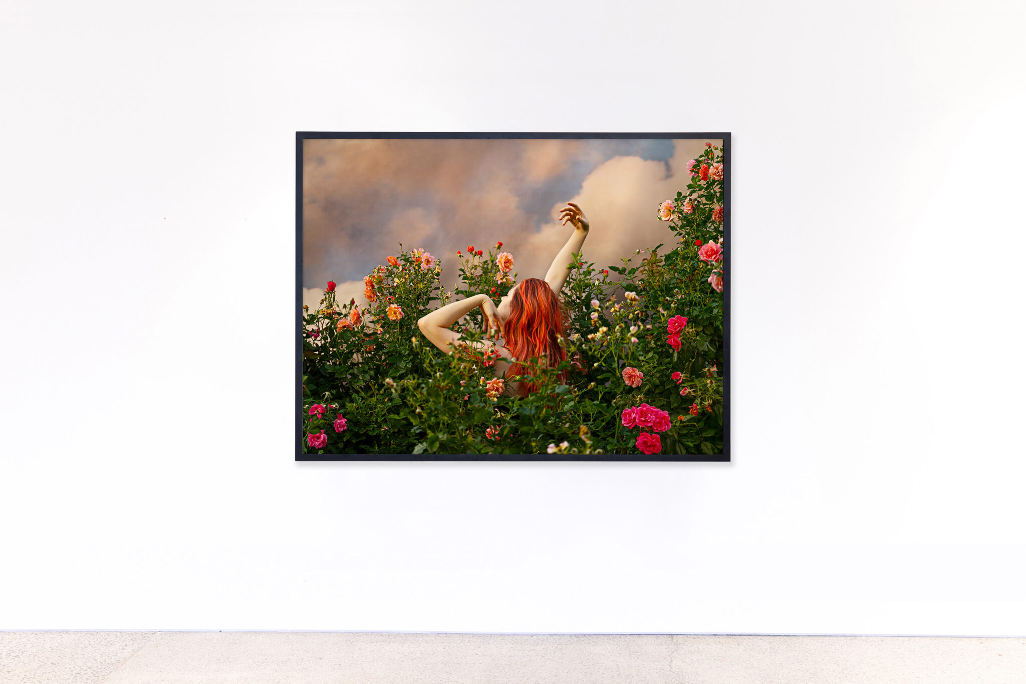 Rose Bathing - Michael Reid