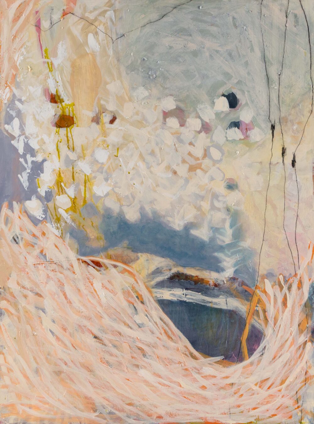 Vicki Potter