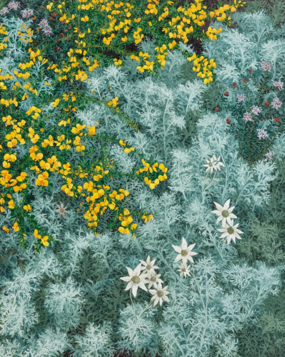 Louise Frith