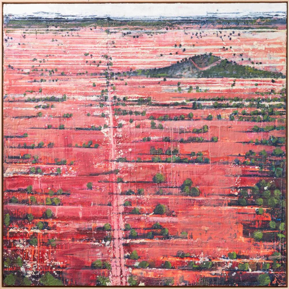 Land of Pinikura People